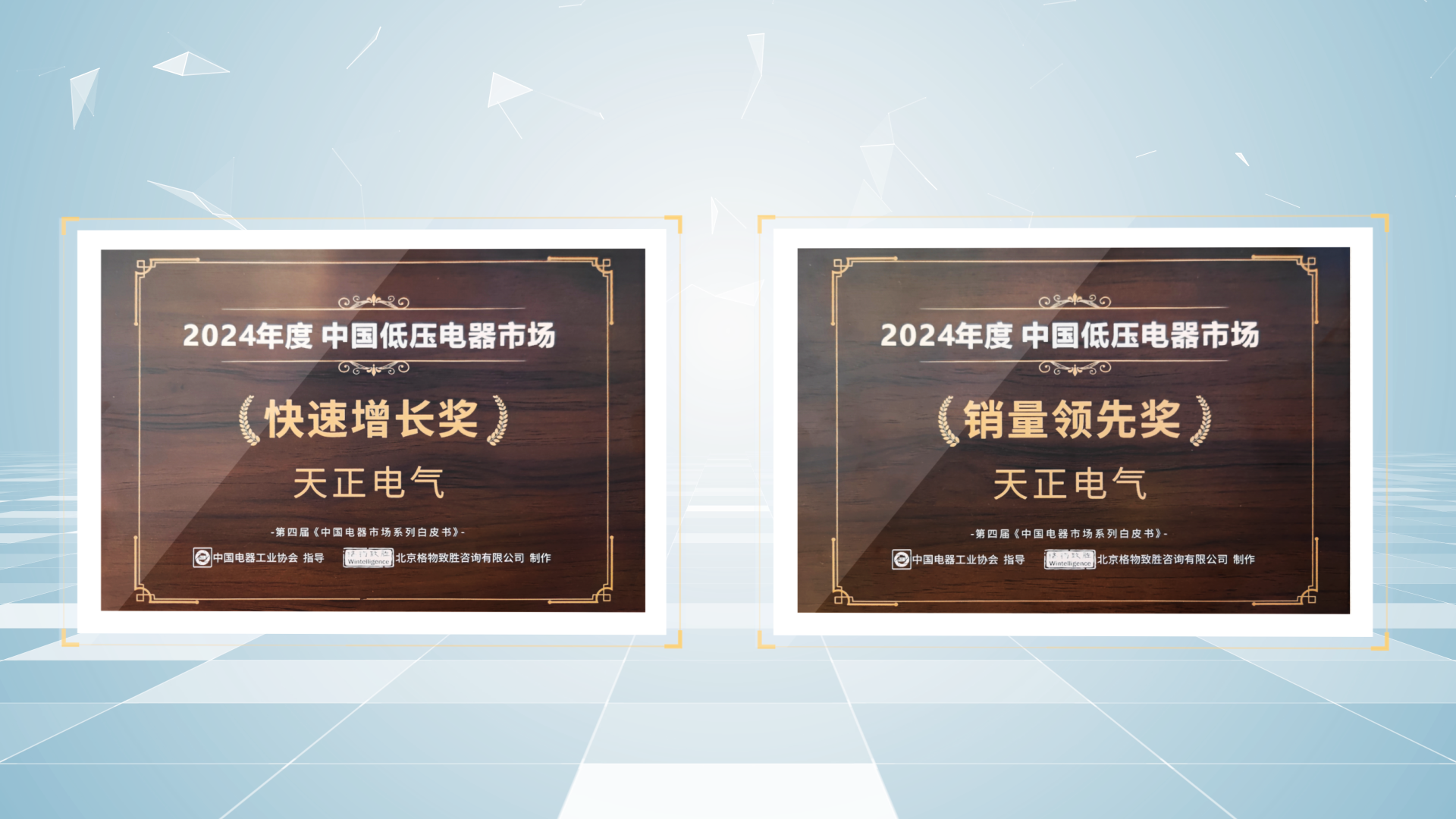 销量领先、快速增长丨z6尊龙中国官方网站荣膺2项行业年度大奖